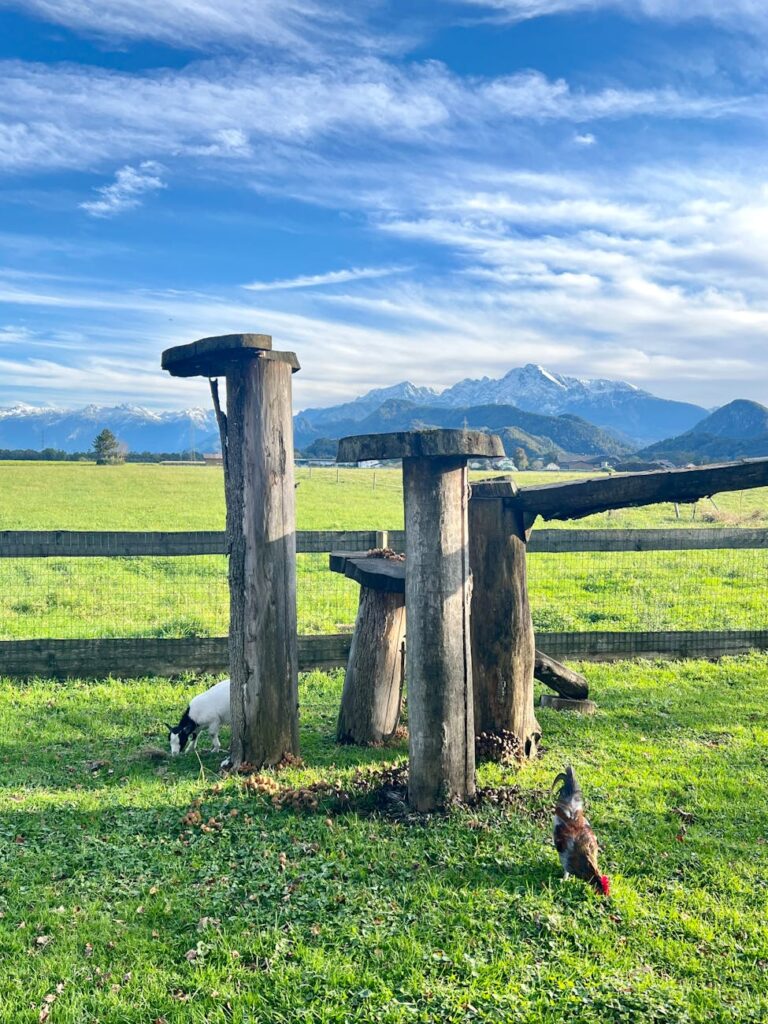 traditional farm stays in austria