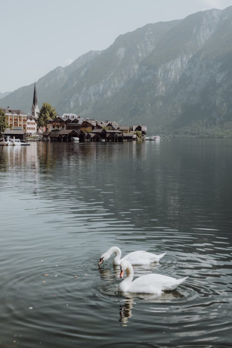 day trips to hallstatt from salzburg