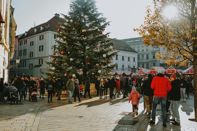 vienna christmas market experiences